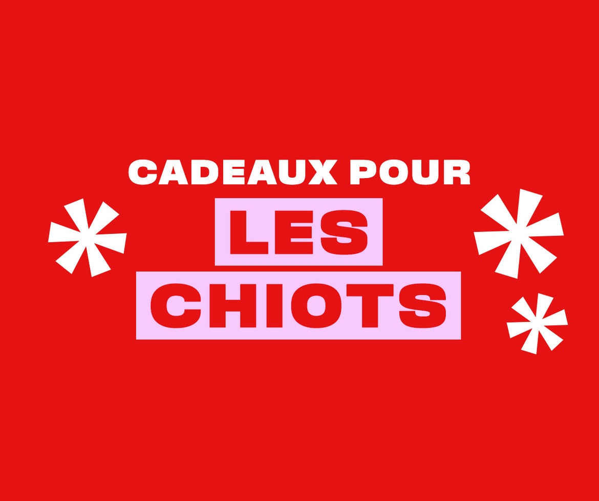 Cadeaux pour le chien aventureux