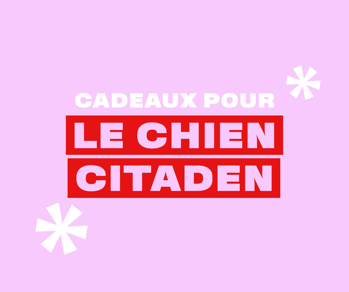 Cadeaux pour les parents d'animaux de compagnie