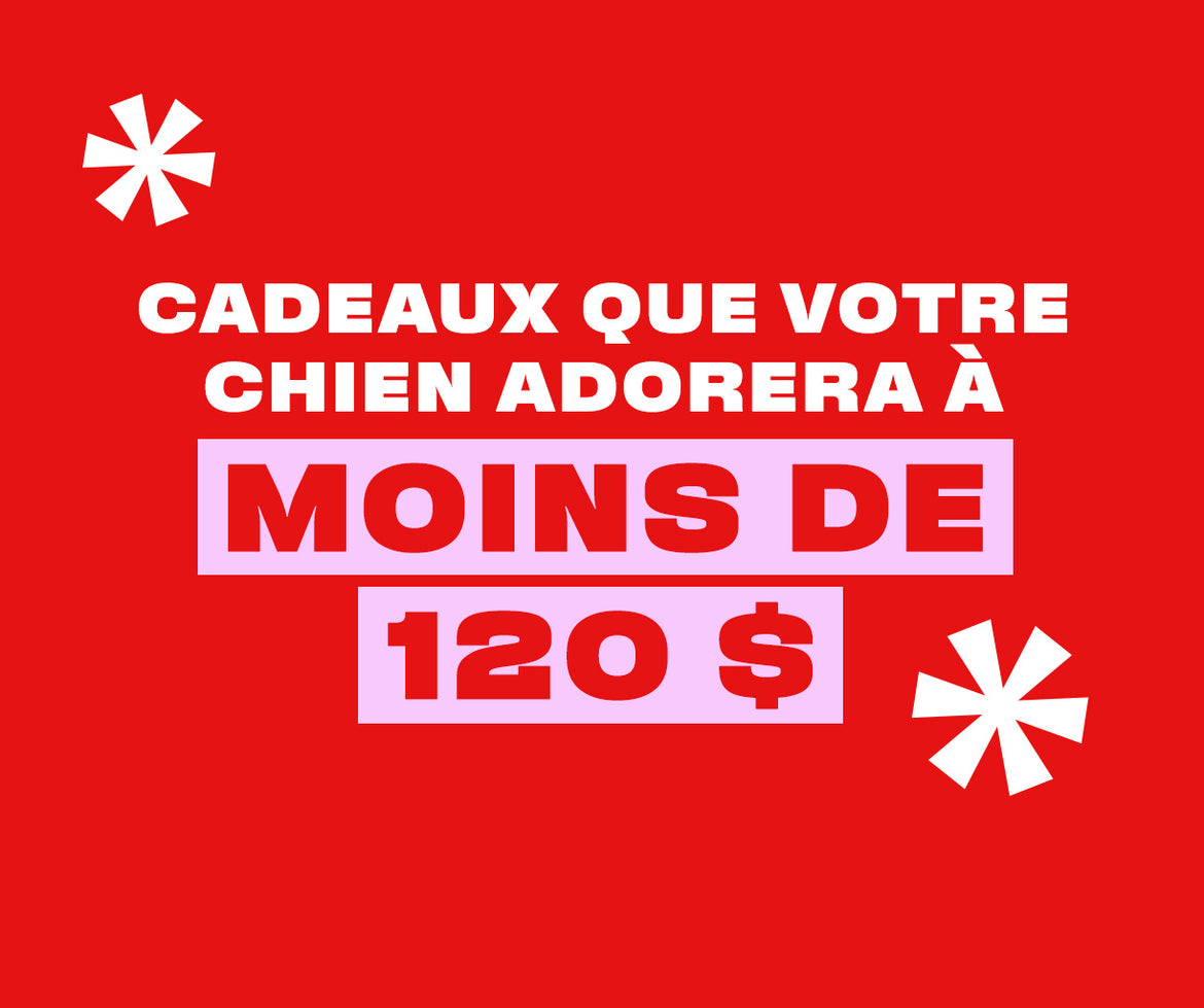 Cadeaux de moins de 100 $