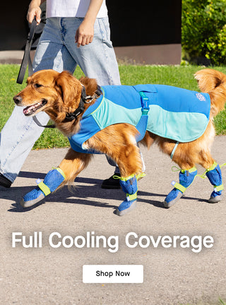 Dog wearing the Max Chill Cooling Vest and Hot Pavement Boots in blue from Canada Pooch