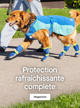 Petit chien portant une combinaison de neige Canada Pooch noire