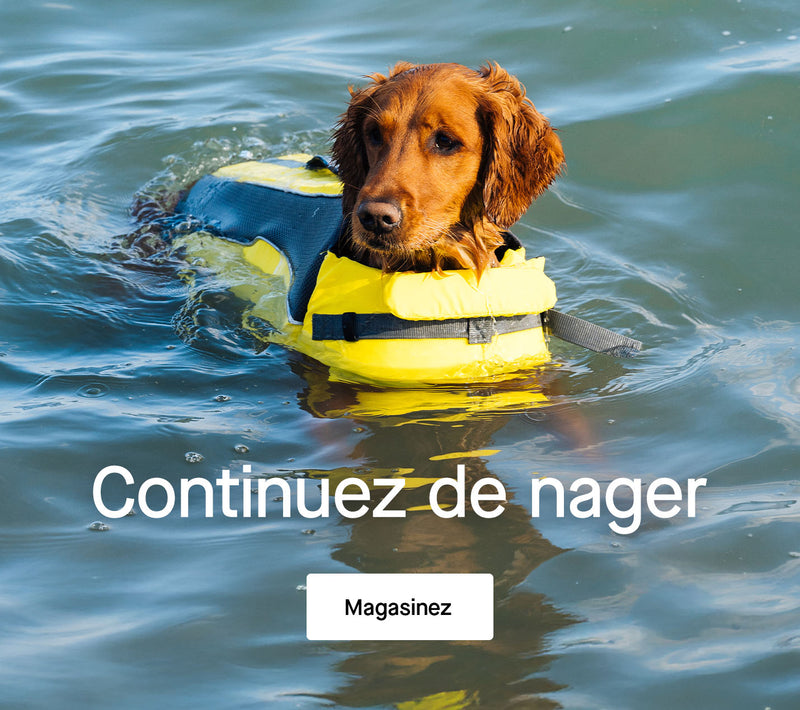 Chien portant le gilet de sauvetage Wave Rider de Canada Pooch