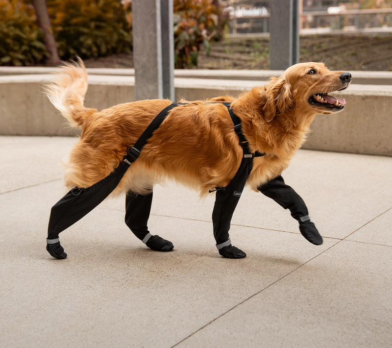 Fini les pattes boueuses !