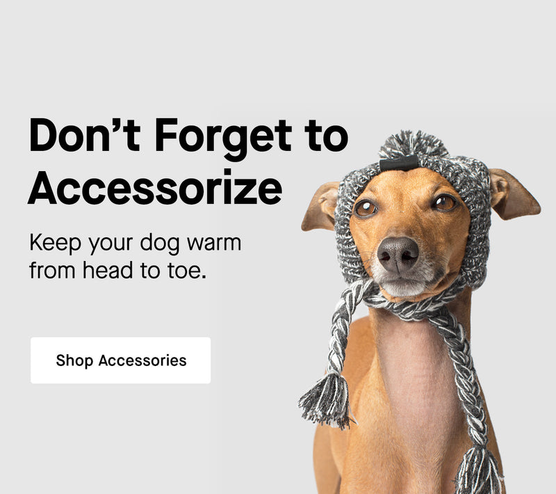 Dog wearing the Polar Pom Pom Hat from Canada Pooch