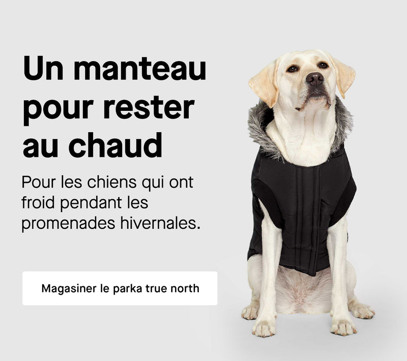 Chien portant la parka True North de Canada Pooch
