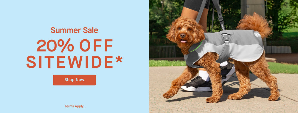 Dog wearing the grey Max Chill Cooling Vest from Canada Pooch