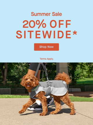 Dog wearing the grey Max Chill Cooling Vest from Canada Pooch