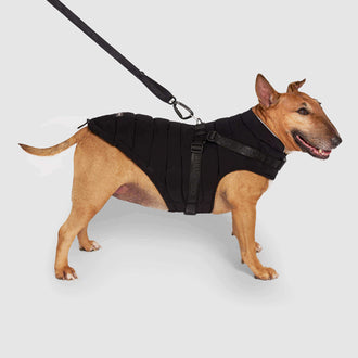 Harness Puffer in Black, Canada Pooch Dog Puffer|| color::black|| size::20|| name:: Phoenix the English Terrier|| weight::38