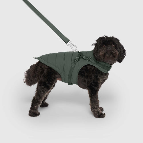 Harness Puffer in Green, Canada Pooch Dog Parka|| color::forest-green|| size::14|| name:: Bowie the Cavapoo|| weight::17