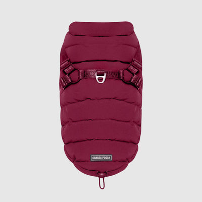 Harness Puffer in Plum, Canada Pooch, Dog Parka|| color::plum|| size::na