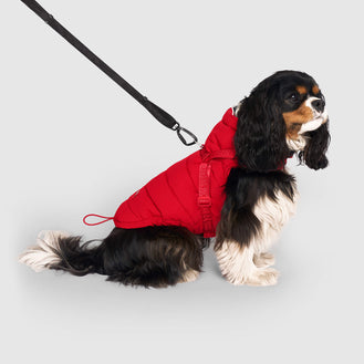 Harness Puffer in Red, Canada Pooch Dog Parka