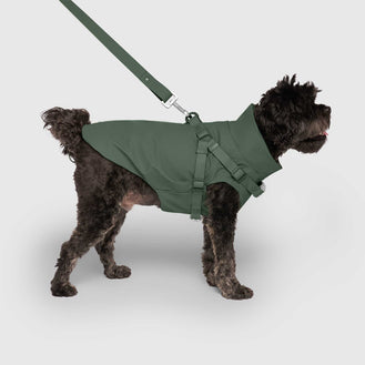 Harness Raincoat in Green, Canada Pooch Dog Raincoat