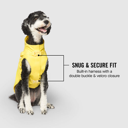 Dog umbrella harness best sale