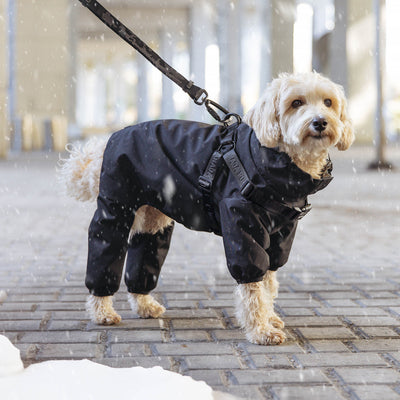 Harness Snow Suit in Black, Canada Pooch, Dog Suit|| color::black|| size::na