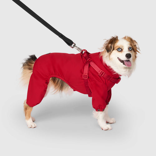Harness Snow Suit in Red, Canada Pooch Dog Suit|| color::red|| size::14|| name:: Onyx the mini Australian Shepherd || weight::18