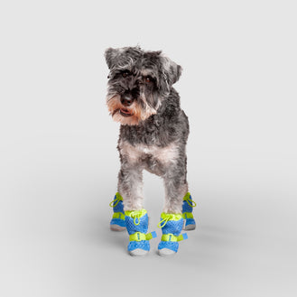 Hot Pavement Boots in Blue Green, Canada Pooch Dog Boots