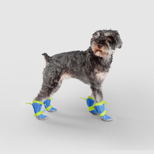 Hot Pavement Boots in Blue Green, Canada Pooch Dog Boots|| color::blue-green||