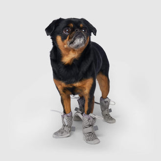 Hot Pavement Boots in Grey, Canada Pooch Dog Boots