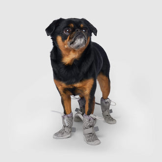 Hot Pavement Boots in Grey, Canada Pooch Dog Boots|| color::grey|| size::1|| name:: Nori the Brussels Griffon|| weight::12