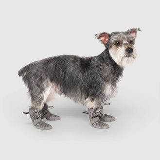 Hot Pavement Boots in Grey, Canada Pooch Dog Boots