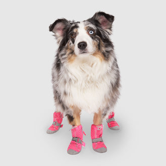 Dog Boots Shoes Canada Pooch