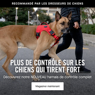 Plus de contrôle pour les tireurs lourds. Le nouveau harnais de contrôle complet.