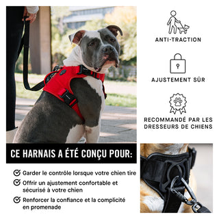 Harnais de contrôle complet