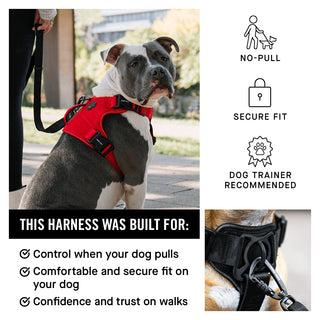 Complete Control Harness