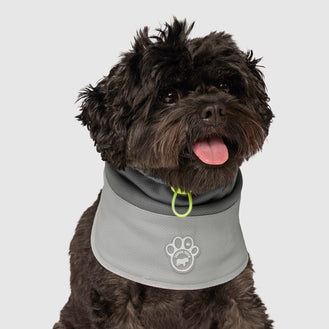 Max Chill Cooling Snood in Grey, Canada Pooch Dog Snood|| color::grey|| name:: Bowie the Cavapoo|| size::S|| weight::17