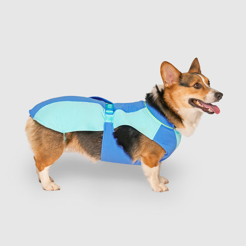 Max Chill Cooling Vest in Blue, Canada Pooch Dog Vest|| color::blue|| size::M/L|| name:: Sora the Corgi|| weight::32