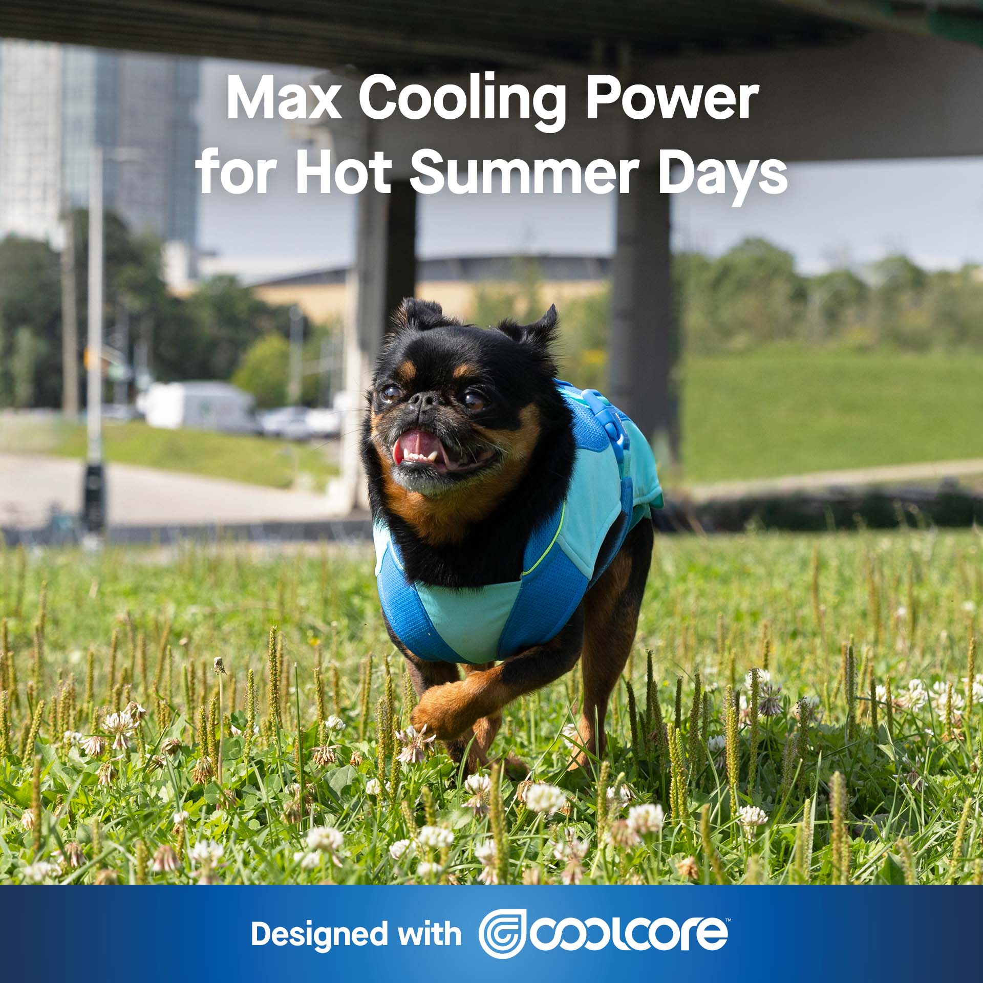 Max Chill Dog Cooling Vest | Lightweight & Breathable Summer Gear