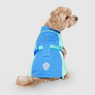 Max Chill Cooling Vest in Blue, Canada Pooch Dog Vest|| color::blue|| size::S|| name:: Pluto the Maltipoo|| weight::8