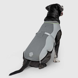 Max Chill Cooling Vest in Grey, Canada Pooch Dog Vest|| color::grey|| size::XL|| name:: Cowboy the Bullmastiff Mix|| weight::92