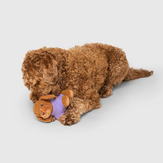 Mini Me Pooch Pal in Bailey the Doodle, Canada Pooch, Dog Toy|| color::bailey-the-doodle|| size::na