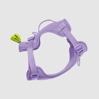Neoprene Harness