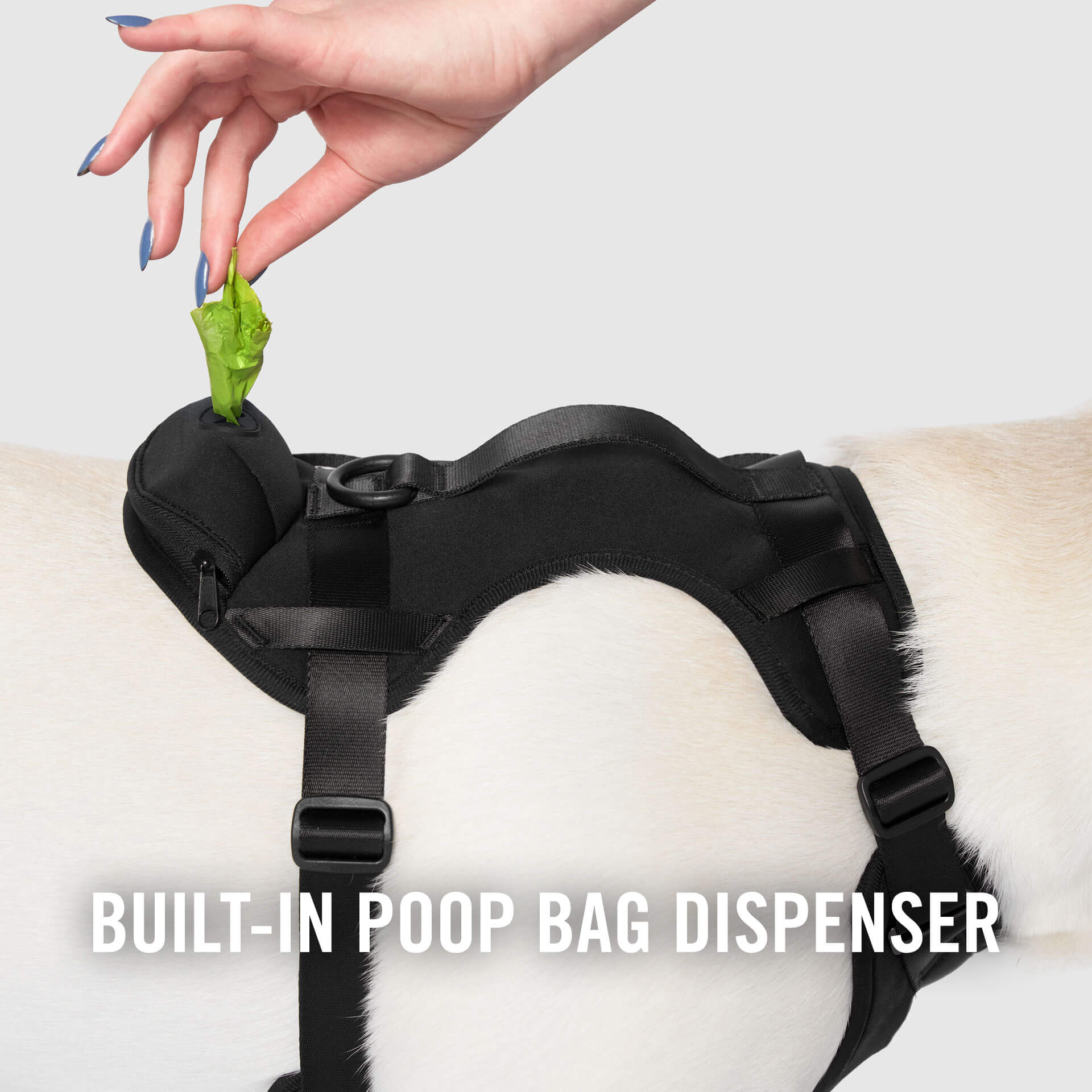 Neoprene Dog Harness | Canada Pooch