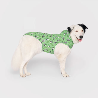 Pick Me Poncho in Panda, Canada Pooch Dog Raincoat