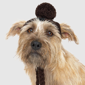 Polar Pom Pom Dog Hat in Espresso, Canada Pooch Dog Hat || color::espresso