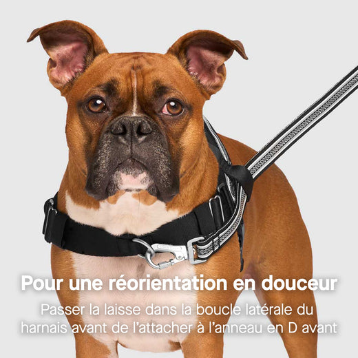 Harnais pour chien Re-Direct | Canada Pooch