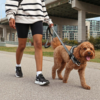 No-Pull Walking Duo