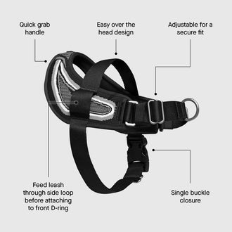 Re-Direct Harness in Black, Canada Pooch, Dog Harness|| color::black|| size::na