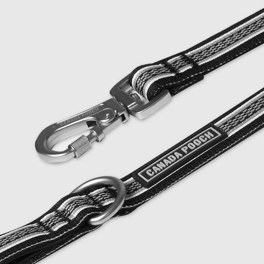 Jacquard Dog Walking Leash | Canada Pooch
