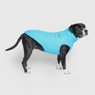 Reversible Puffer Vest in Blue/Teal, Canada Pooch Dog Vest