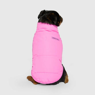 Reversible Puffer Vest in Pink/Purple, Canada Pooch Dog Vest|| color::pink-purple|| size::12|| name:: Nori the Brussels Griffon|| weight::12