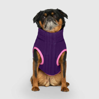 Reversible Puffer Vest in Pink/Purple, Canada Pooch Dog Vest|| color::pink-purple|| size::12|| name:: Nori the Brussels Griffon|| weight::12