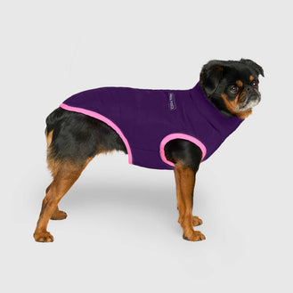 Reversible Puffer Vest in Pink/Purple, Canada Pooch Dog Vest|| color::pink-purple|| size::12|| name:: Nori the Brussels Griffon|| weight::12