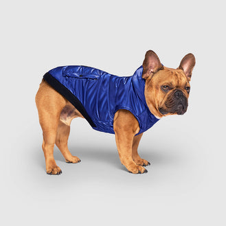 Shiny Puffer Vest in Blue, Canada Pooch Dog Vest
