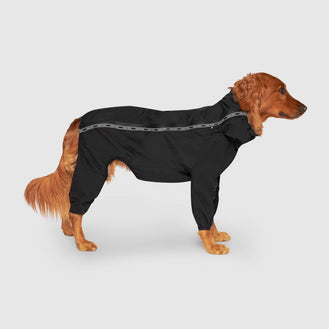 Slush Suit in Black, Canada Pooch Dog Suit