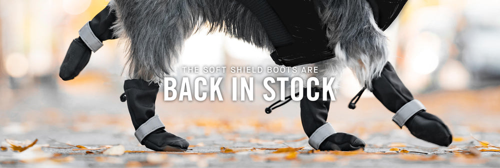 Small dog wearing Canada Pooch Soft Shield Boots and Puffer Jacket in black