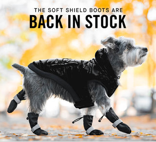 Small dog wearing Canada Pooch Soft Shield Boots and Puffer Jacket in black